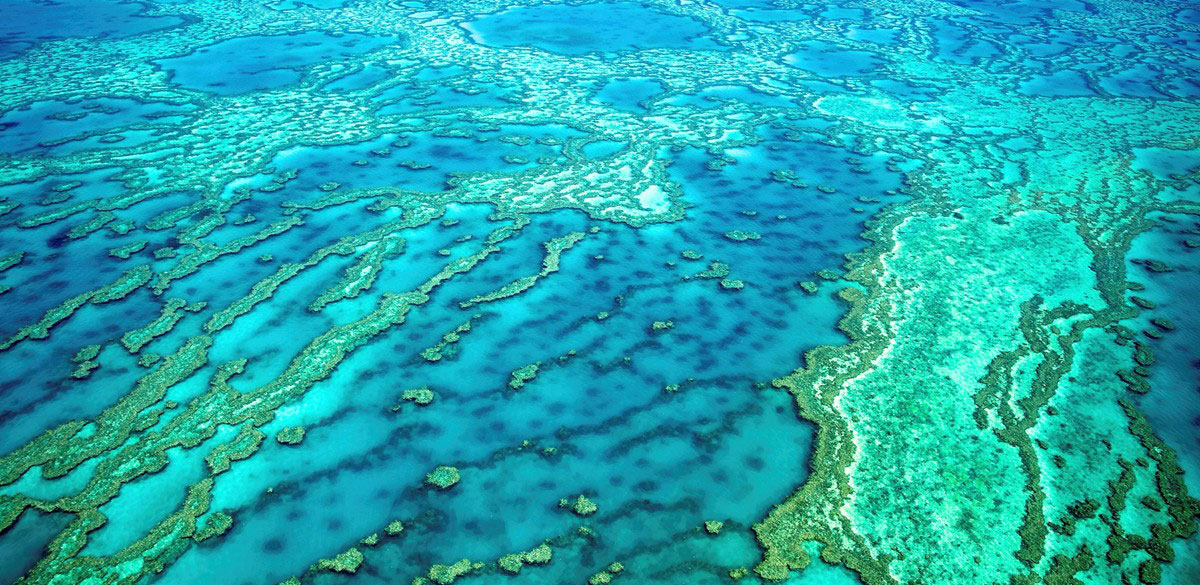 Aerial view over coral reefs and aqua waters of the Great Barrier Reef